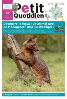 Cover undefined
