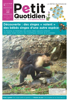 Cover undefined