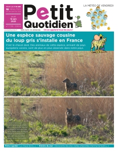 Cover undefined