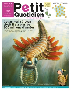 Cover undefined