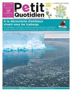 Cover undefined