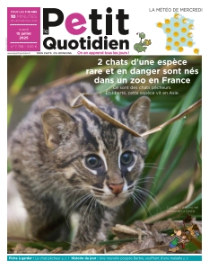 Cover undefined