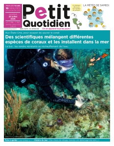 Cover undefined