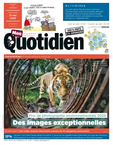 Cover undefined