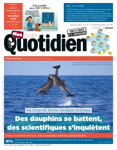 Cover undefined