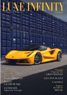 cover Luxe Infinity n°15