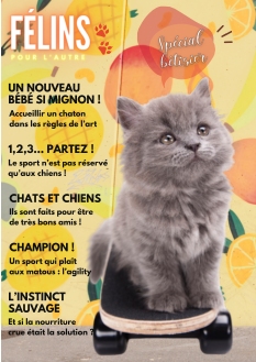 Cover undefined