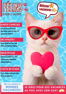 Couverture de Félins pour l’autre du 29 juillet 2025