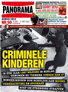 Omslag van Panorama van 