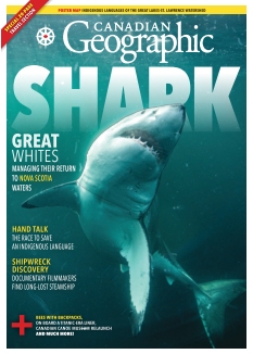 Cover undefined