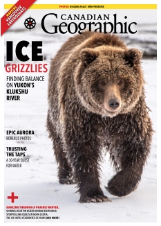 Cover undefined