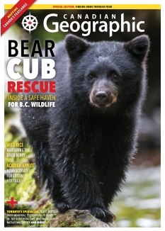 Cover of Canadian Geographic from 11 August 2025