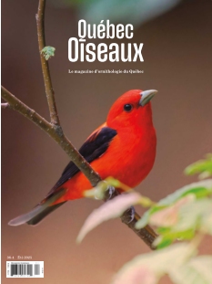 Cover QuébecOiseaux