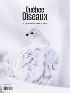 Couverture de QuébecOiseaux du 15 novembre 2025