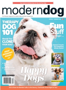 Cover Modern Dog Magazine