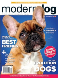 Cover of Modern Dog Magazine from 
