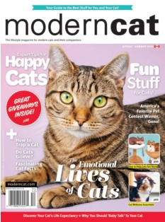 Cover Modern Cat Magazine
