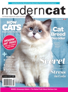 Cover of Modern Cat Magazine from 