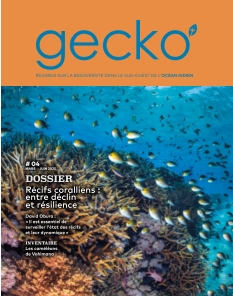 Cover Gecko 