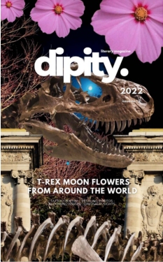 Cover undefined