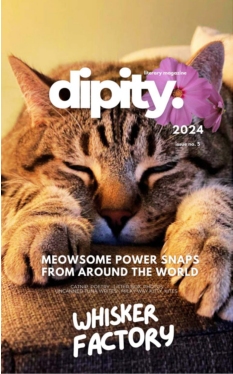 Cover Dipity Literary Magazine