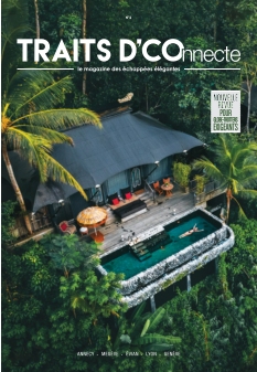 Cover Traits D'connecte