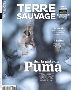 Couverture de Terre Sauvage du 