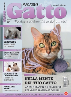 Cover undefined