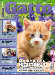 Cover undefined