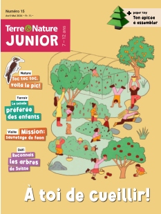 cover Terre & Nature Junior n°15