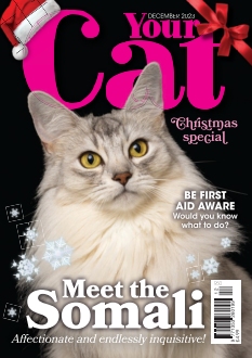 cover Your Cat Magazine n°20231109