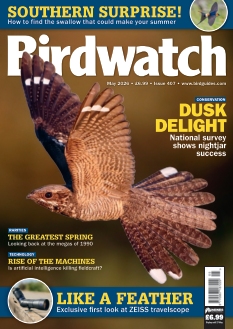 cover Birdwatch n°20260423
