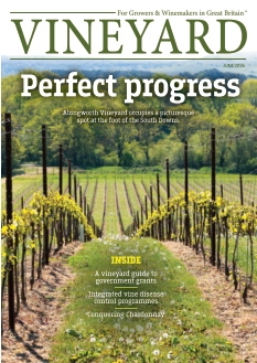 cover Vineyard n°20260520