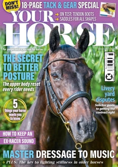 cover Your Horse n°20260430