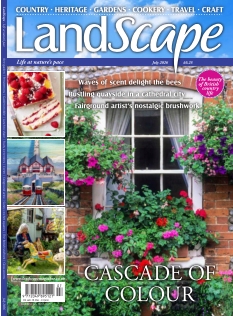 cover Landscape n°20260520