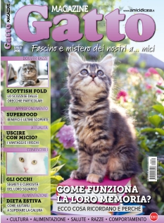 cover Gatto Magazine  n°20260515
